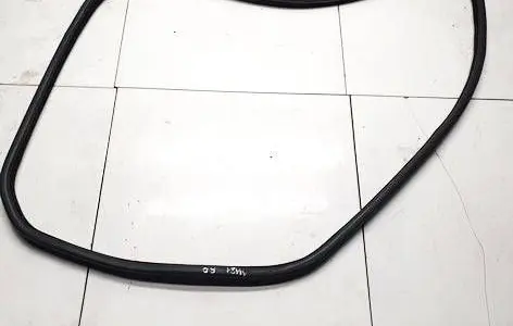 Land Rover Range Rover Evoque L538 Rubber seal front coupe door 