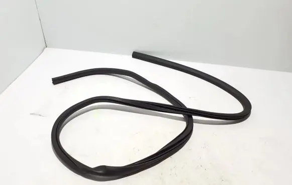 Ford Mach-E I Rear door rubber seal (on body) LJ8B-R20709-AC