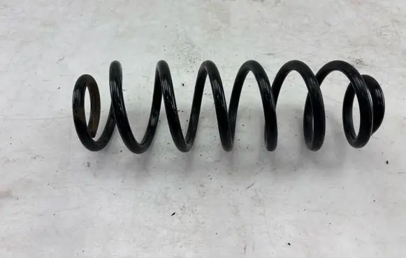 Rear coil spring