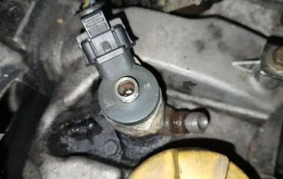 Chevrolet Captiva Fuel injector 0445110270