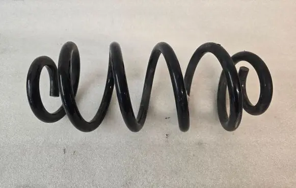 Rear coil spring
