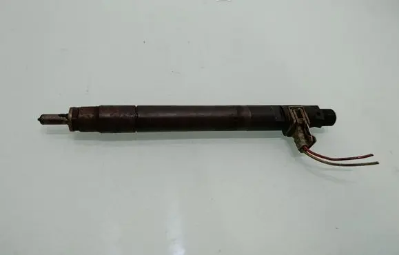 Citroen C5 Fuel injector EMBR00101D