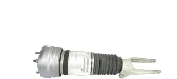 Porsche Panamera (970) Front shock absorber/damper 97034305219