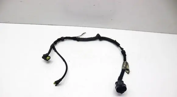 Other wiring loom