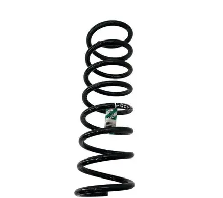 Ford Focus Rear coil spring BV615560NGE