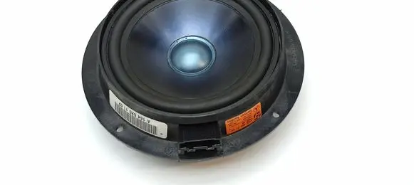 Mercedes-Benz R W251 Rear door speaker A1648201102