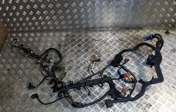 Engine installation wiring loom