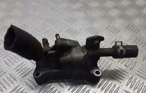 Thermostat/thermostat housing
