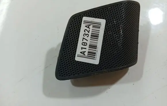 Front door speaker