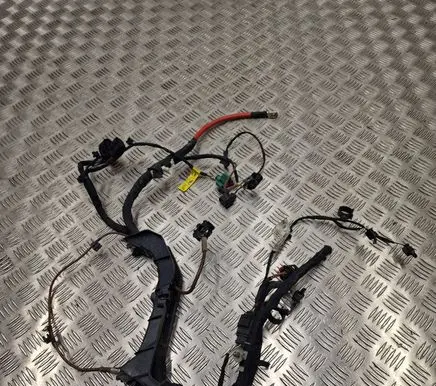 Other wiring loom