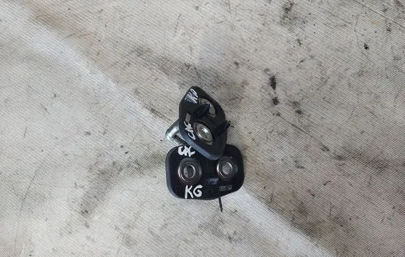 Citroen C4 Cactus Rear door lock loop/hook striker 9655466380