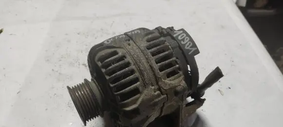 Skoda Octavia Mk2 (1Z) Generator/alternator 028903028D 24325003