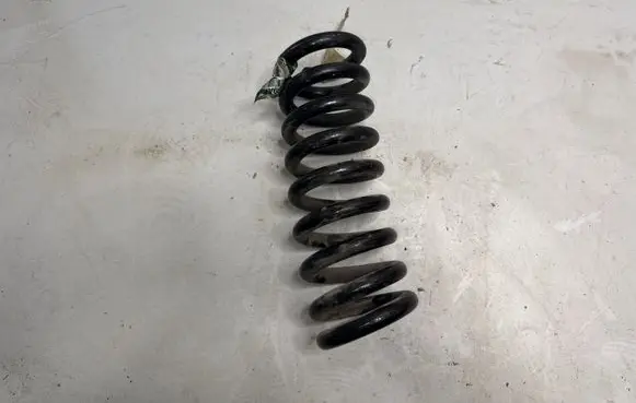 Dodge Challenger Rear coil spring 25591F 1369AF