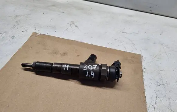 Peugeot 307 Fuel injector 0445110075
