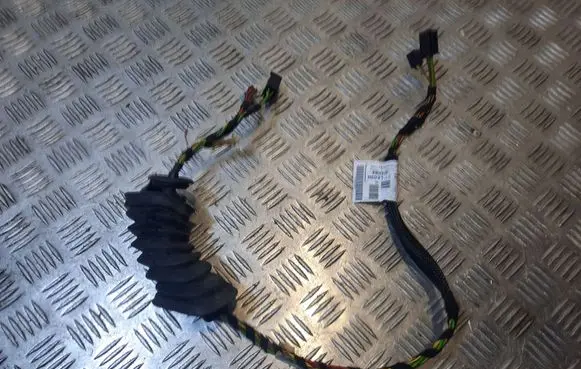 Mercedes-Benz CLA C117 X117 W117 Front door wiring loom A1765405408