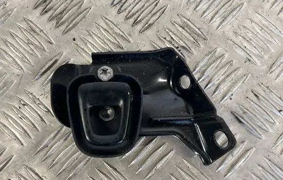 Tesla Model X Other interior part 106001300C