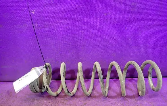 Skoda Fabia Mk3 (NJ) Rear coil spring