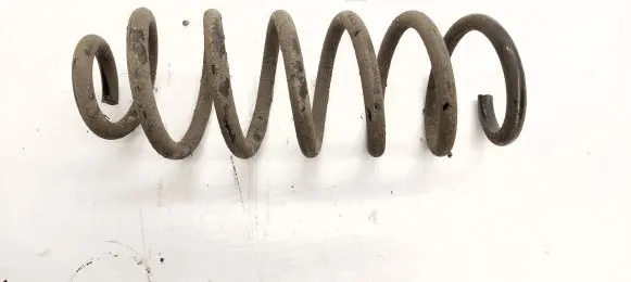 Nissan Qashqai Rear coil spring