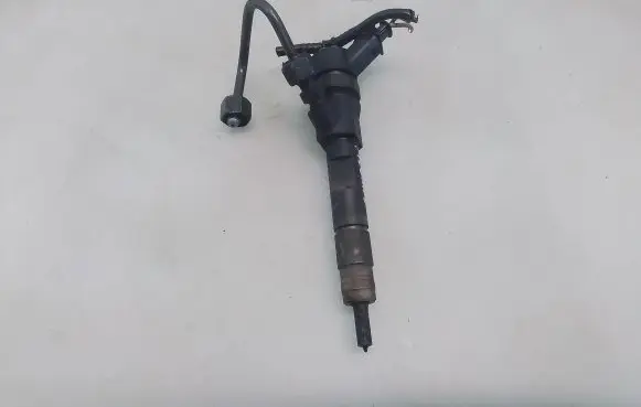 Renault Megane II Fuel injector 8200389369