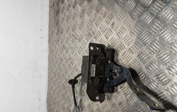 Hyundai Santa Fe Engine bonnet/hood hinges 791502W000