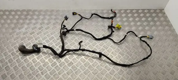 Citroen C5 Front door wiring loom 9675031080