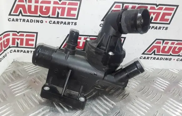 Thermostat/thermostat housing