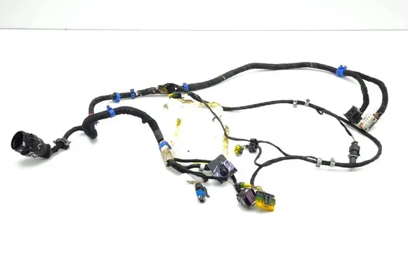 Front door wiring loom