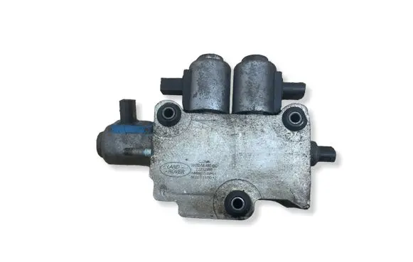 Land Rover Range Rover Sport L320 Suspension control unit/module 5H325E487BC