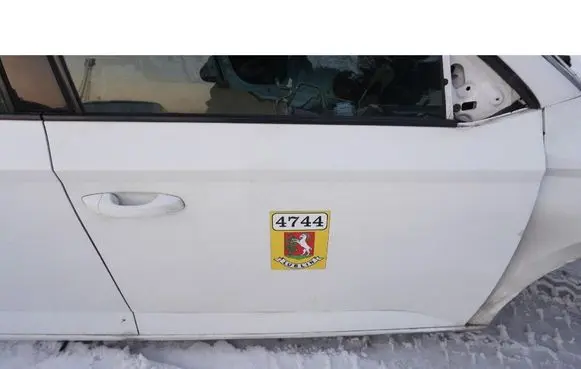 Skoda Fabia Mk3 (NJ) Front door 