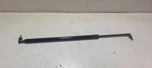 Tailgate/trunk strut/damper