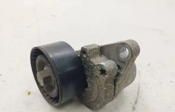Nissan X-Trail T31 Timing belt/chain tensioner 8200357406