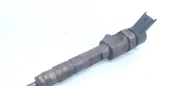 Renault Scenic I Fuel injector 8200100696 0445110109B