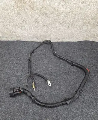 Other wiring loom