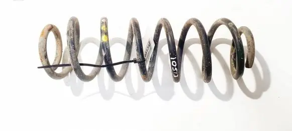 Rear coil spring