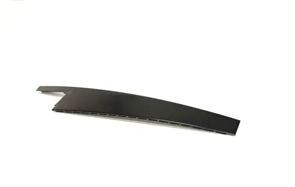 Rear door glass trim molding
