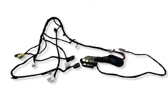 Hyundai Kona II Front door wiring loom 3624307093 2403130015