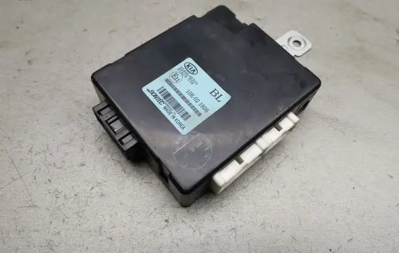 KIA Sorento Other control units/modules 954003E310