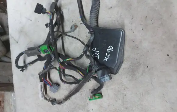Front door wiring loom