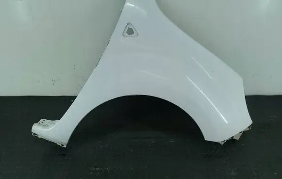Renault Kangoo II Fender