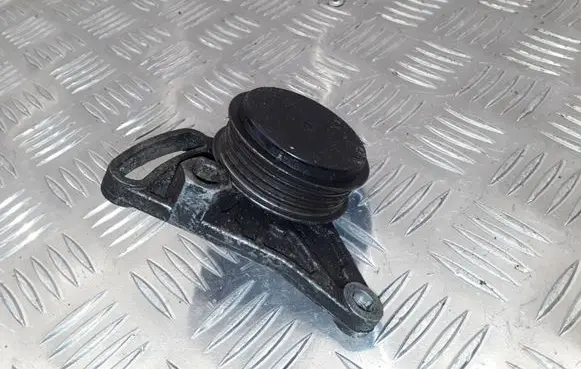 Volkswagen PASSAT B5 Air conditioning tensioner F230875