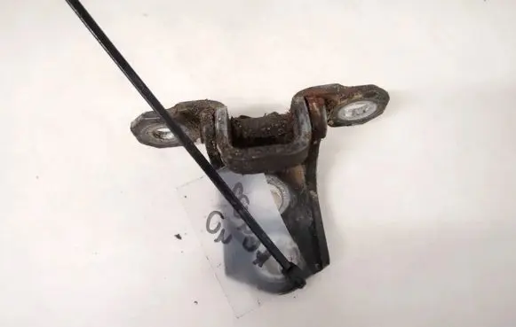 Renault Laguna II Rear door lower hinge