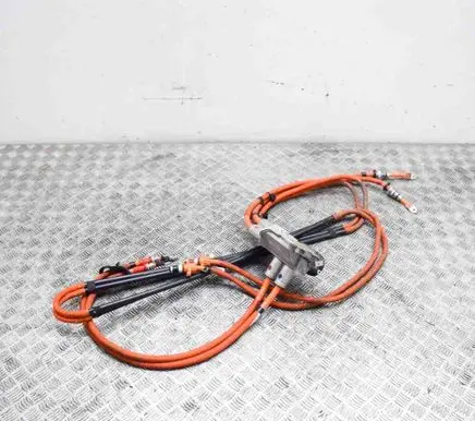 Other wiring loom