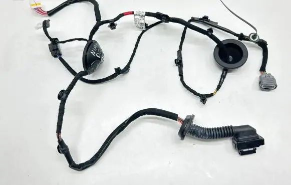 KIA Niro Rear door wiring loom 91630AO100 2110A 91630