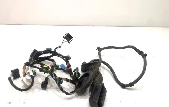 Volkswagen PASSAT B8 Front door wiring loom 3G1971121DH