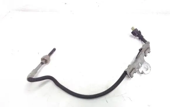 Exhaust gas temperature sensor