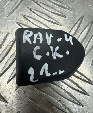 Toyota RAV 4 (XA50) Rear door handle cover 