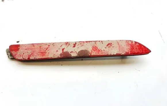 Lexus RX 300 Rear tail light reflector 5317601r 53-17601r