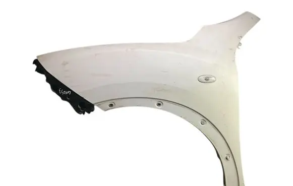 Nissan Juke I F15 Fender