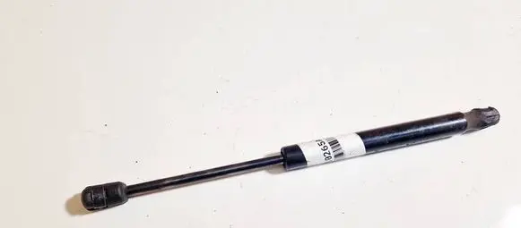 Tailgate/trunk strut/damper