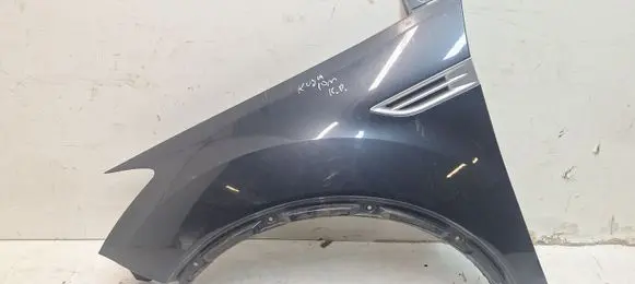Fender